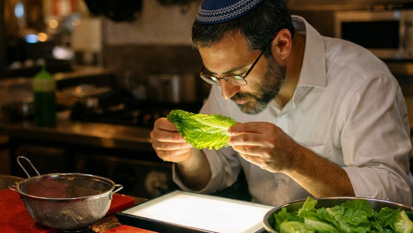 What Is Halacha?